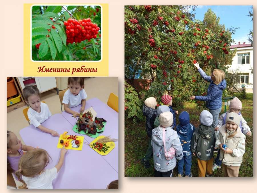 Слайд1.JPG